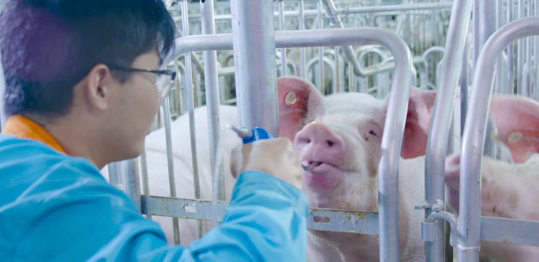 圖片5.png undefined