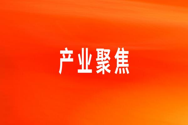 快速響應(yīng)，用心服務(wù)——打造大客戶服務(wù)的“龍大美食樣板”